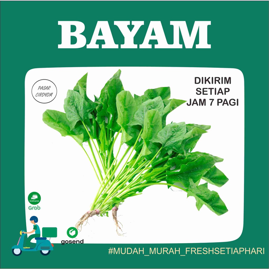 

BAYAM FRESH MURAH BANDUNG 1 IKAT / SAYUR ONLINE