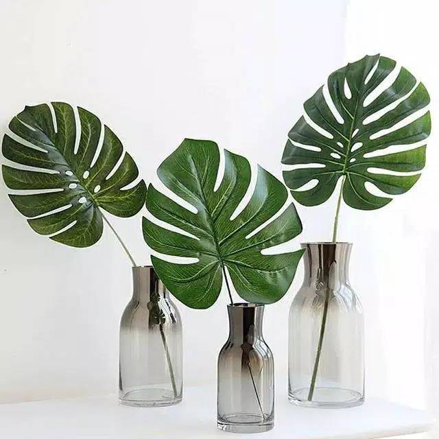 Daun plastik monstera