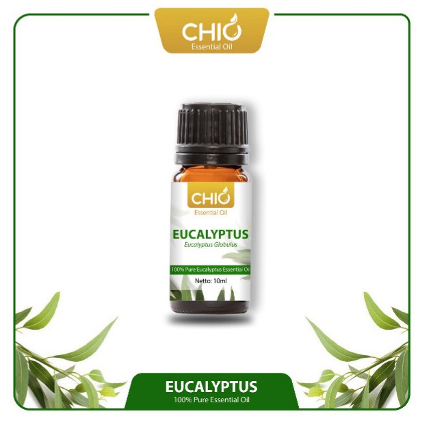 BUY 1 GET 1 Chio  Eucalyptus Essential Oil