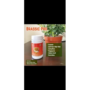 Brassic Pro (British Propolis)