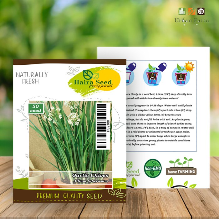 Benih-Bibit Kucai/Garlic Chives (Haira Seed)