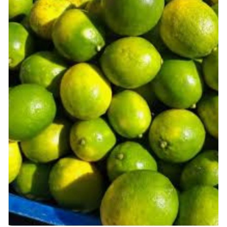 

Lemon Lokal California