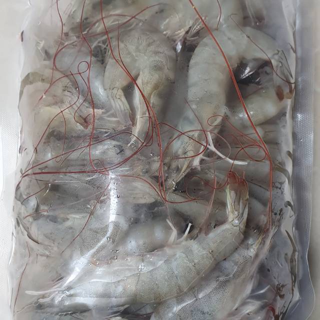 

UDANG VANAME FRESH