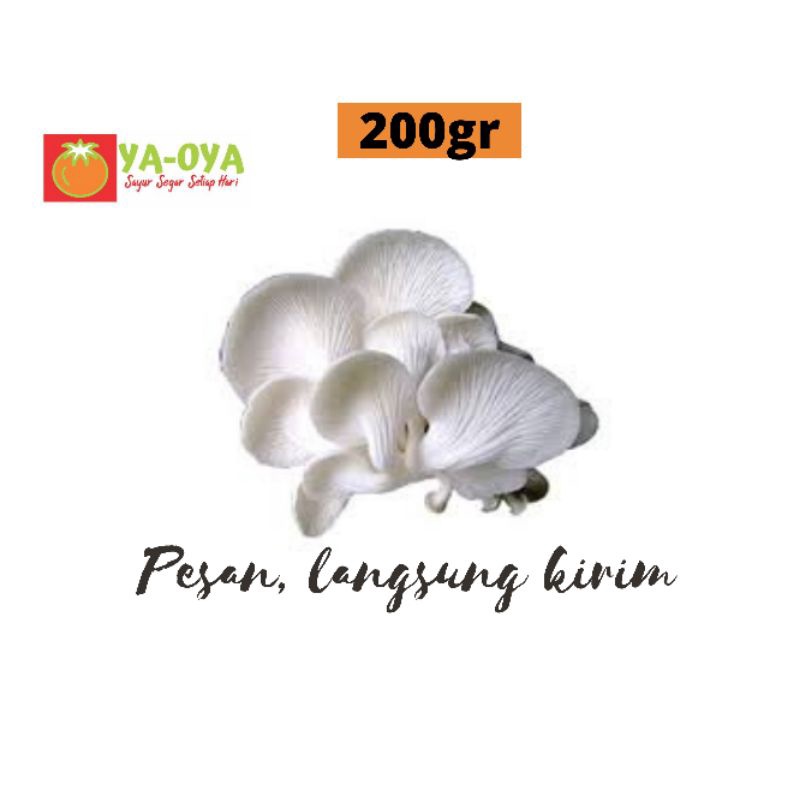 

JAMUR TIRAM 200gr