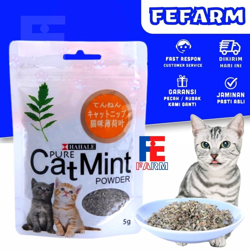 Catnip catmint cat mint - PURE CATMINT POWDER - BIKIN FLY KUCING FEFARM