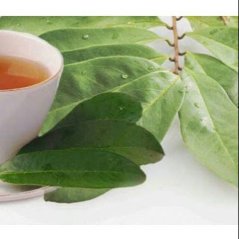 

Daun Sirsak Segar 500 grm