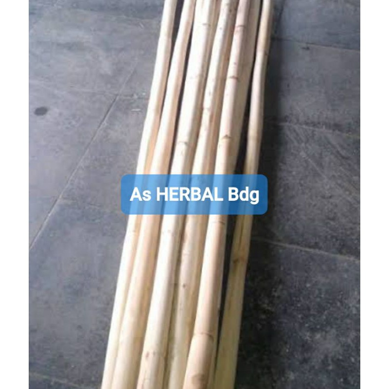 

Jual batang rotan kupas segar 1 kg-az