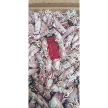 

PROMO Cumi Asin beby 1kg/beby cumi asin /cumi asin rebus kecil