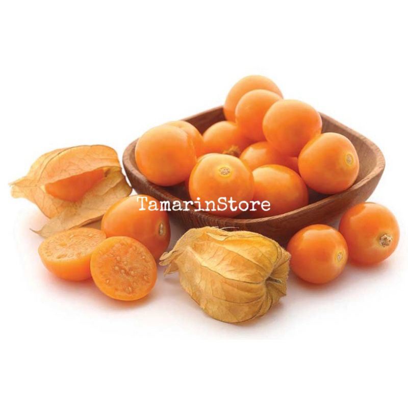 Biji / Benih / Bibit Buah Ciplukan Golden Berries Untuk Pengobatan