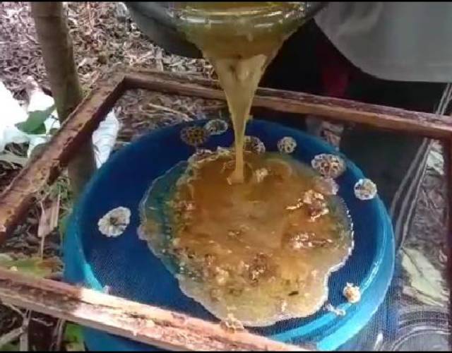 Madu Mentah Nektar Randu 100% - Madu Murni Asli Ternak 1kg - Madu Mentah Original