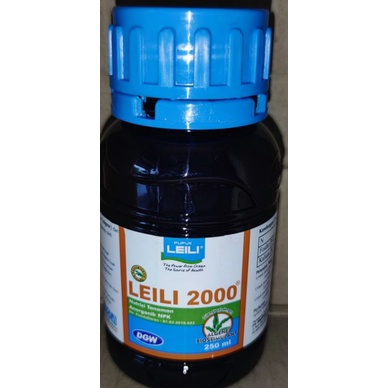 LEILI 2000