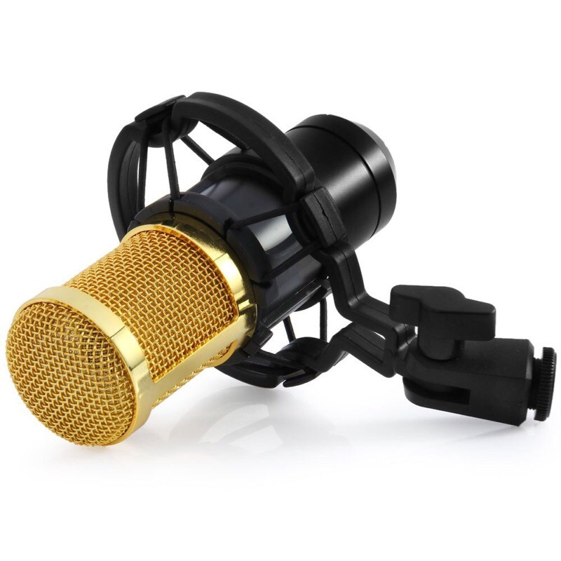 TaffSTUDIO Mikrofon Kondenser Studio dengan Shock Proof Mount - Black