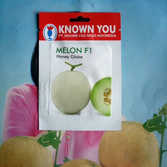 Benih Melon HONEY GLOBE 5 Biji