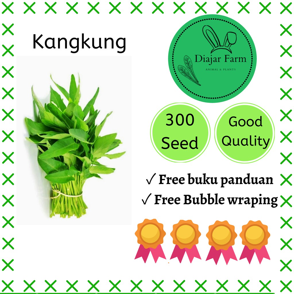 Benih kangkung 300 Biji | Bibit Sayuran Hidroponik | Bibit Sayur | Bibit sayuran | Benih sayuran