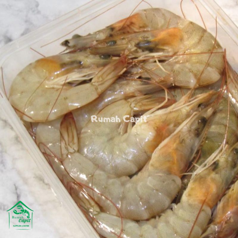 

Udang Vaname ukuran 60-80ekor/kg. harga per pack 500 gram