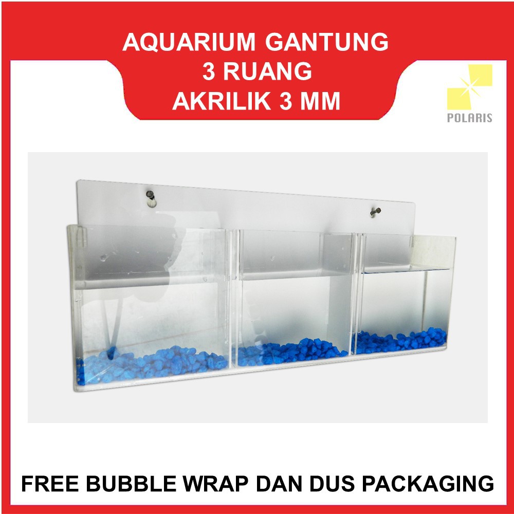 AKUARIUM CUPANG GANTUNG / SOLITER CUPANG GANTUNG / AQUARIUM AKRILIK DINDING 3 RUANG