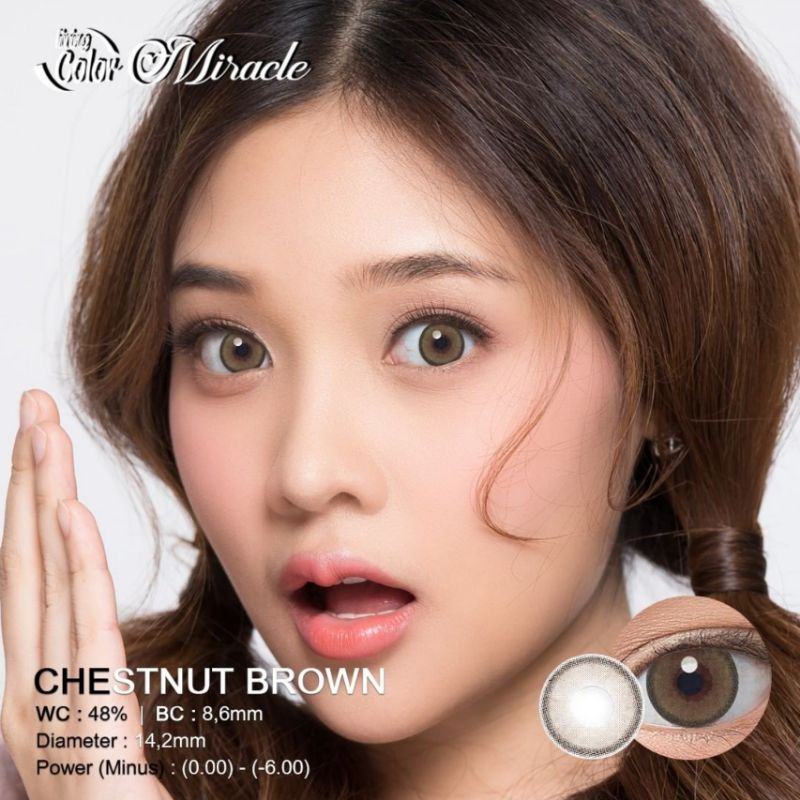 Softlens LIVING COLOR MIRACLE 14.2 MM CHESTNUT BROWN MINUS -0.50 S.D -6.00 by IRISLAB