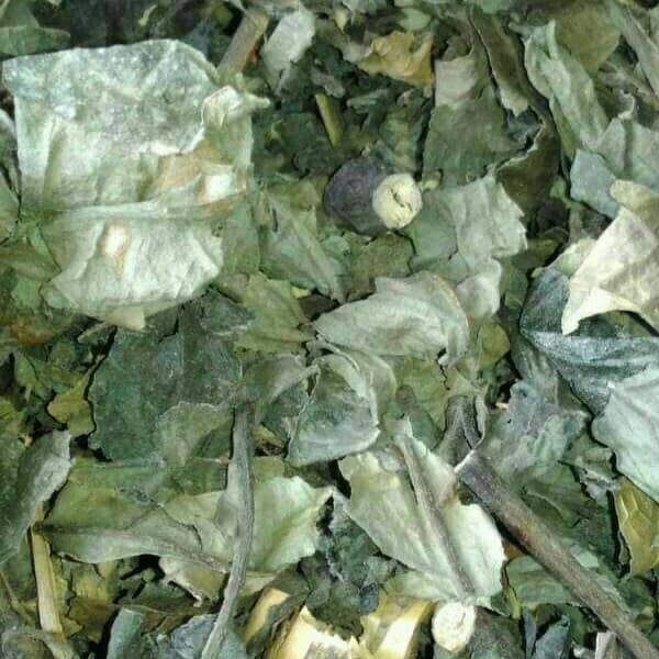 

Jual Daun Keji Beling utuh Kering / Daun Pecah Beling Kering 250 gr (1/4 kg)