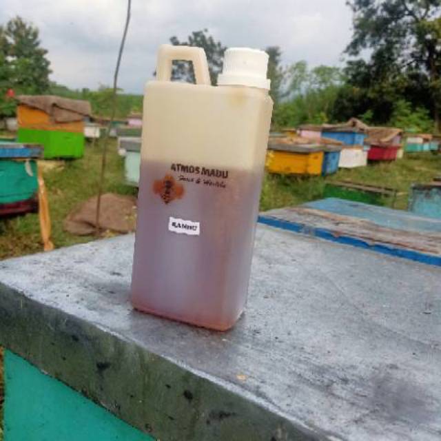 

Madu asli nektar randu 1 kg