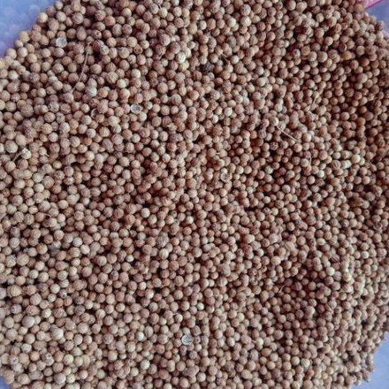 

KETUMBAR lokal 1kg