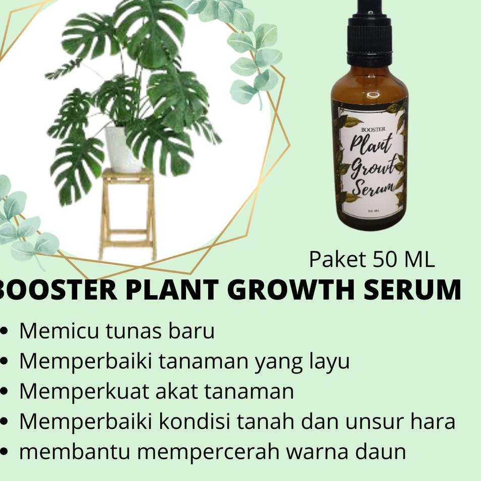 SET-266|⭐ PupukTanaman Hias Plant Growth Serum Lebih Ampuh Dari Albero Aglonema Pupuk Cair Organik 5