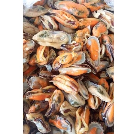 

Kerang Hijau Segar Kerang Ijo Kupas Segar Fresh Kualitas GARANSI SEGAR