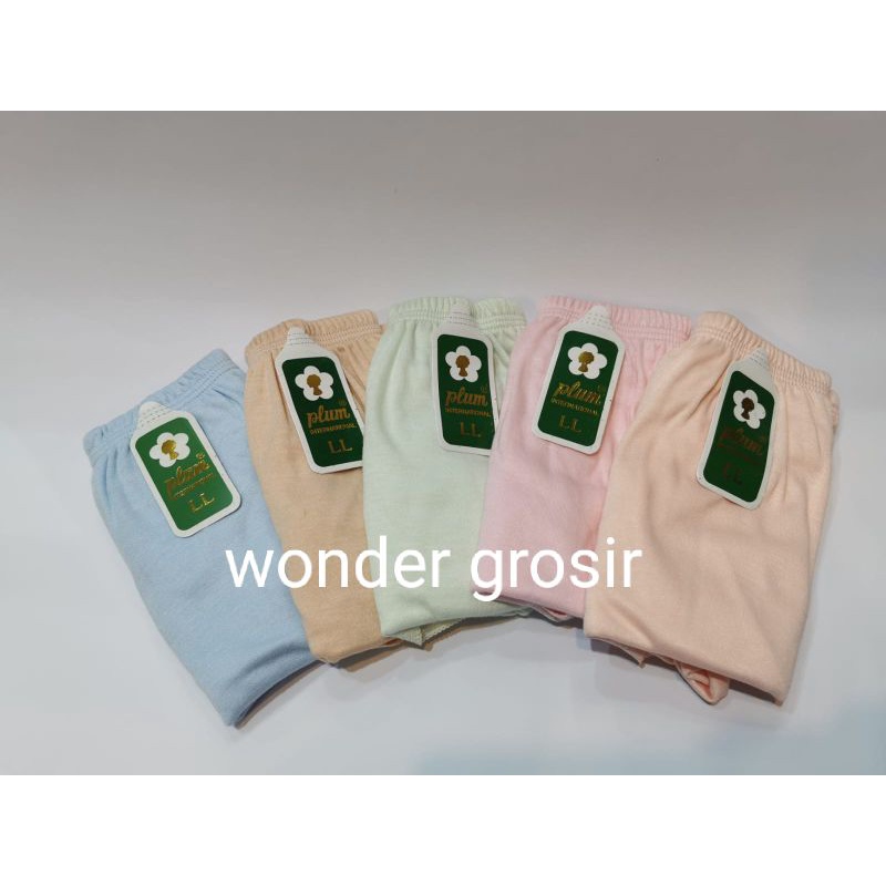 CD| Celana dalam wanita plum