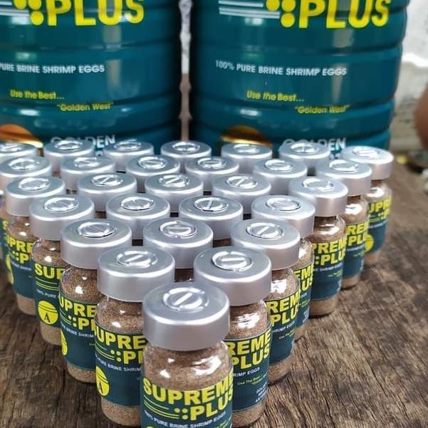 

✰ Artemia Repack 10g / Artemia supreme plus pakan cupang guppy ORIGINA ✈