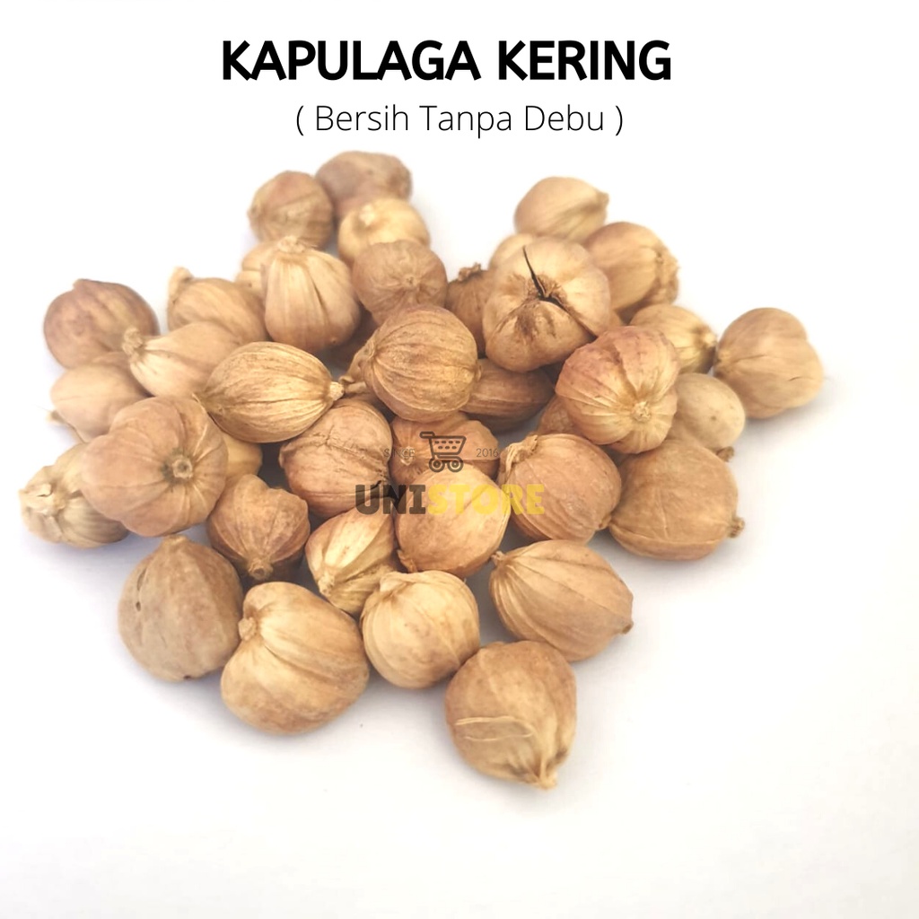 

Grosir Kapulaga kering 1kg 100% organik paling murah kapulogo lokal