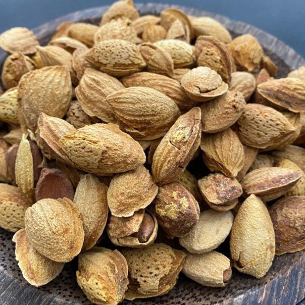 

Fp734 Kacang Almond Kulit Panggang Asin Super Gede2 Y Bibisale318