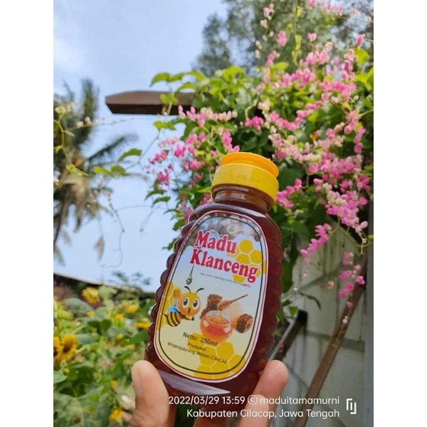 

Madu Klanceng 250 ML
