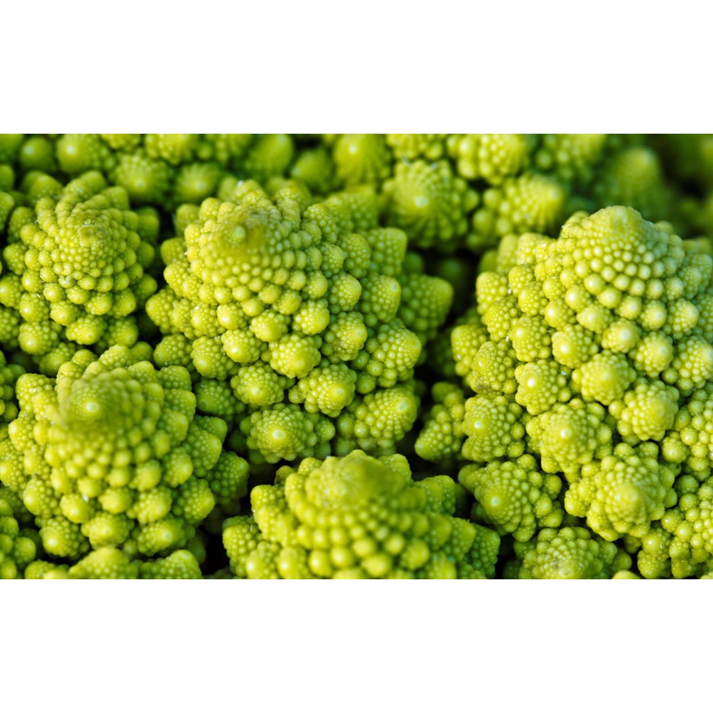 Benih Bibit Biji - Cauliflower Romanesco Natalino Kembang Bunga Kol Hijau Limau Brokoli Seeds - IMPORT