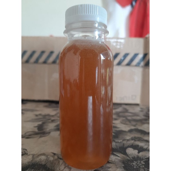 

madu trigona