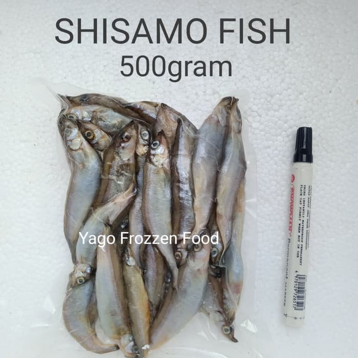 

Shisamo Fish 500gr \ Ikan Capelin Canada - Ikan Telur - Size Besar