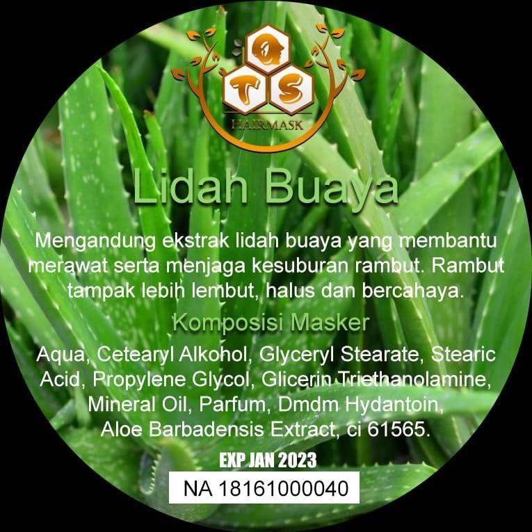 HAIRMASK OTS KOTA MEDAN TERMURAH HARGA GROSIR MASKER RAMBUT LIDAH BUAYA