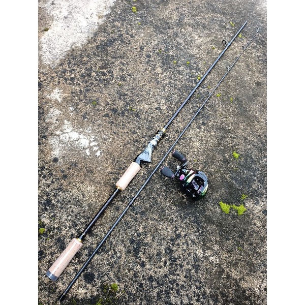 set bc lizard colorful & joran