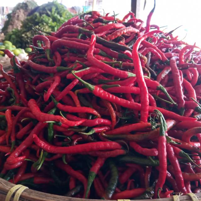 

Cabe Merah Kriting 1/4 kg