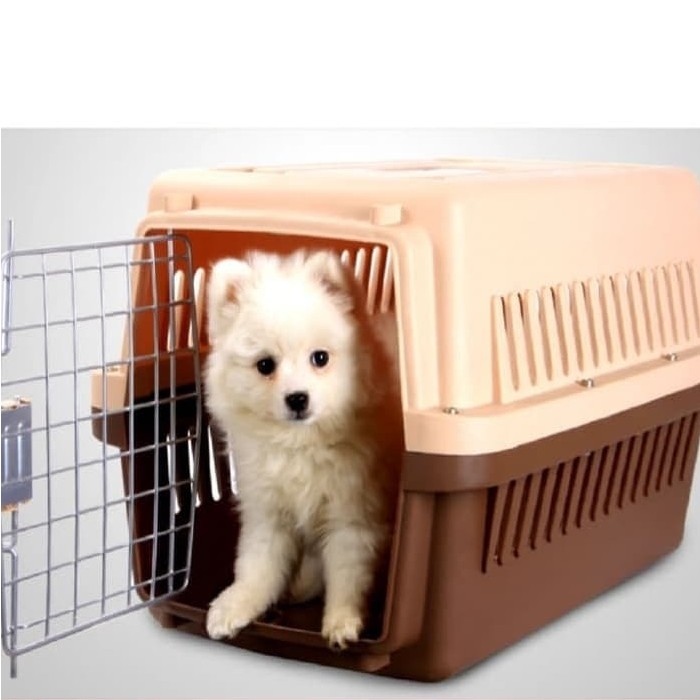 Cargo JMS Athena #1 - Pet Cargo Anjing Kucing - PSI (BOGOR)