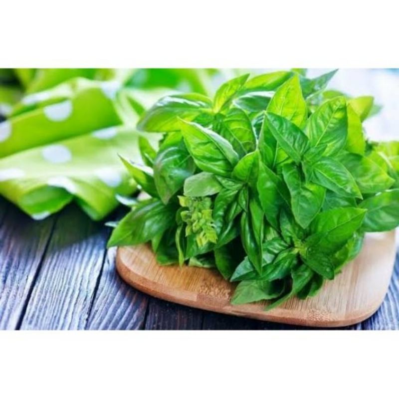 

daun kemangi