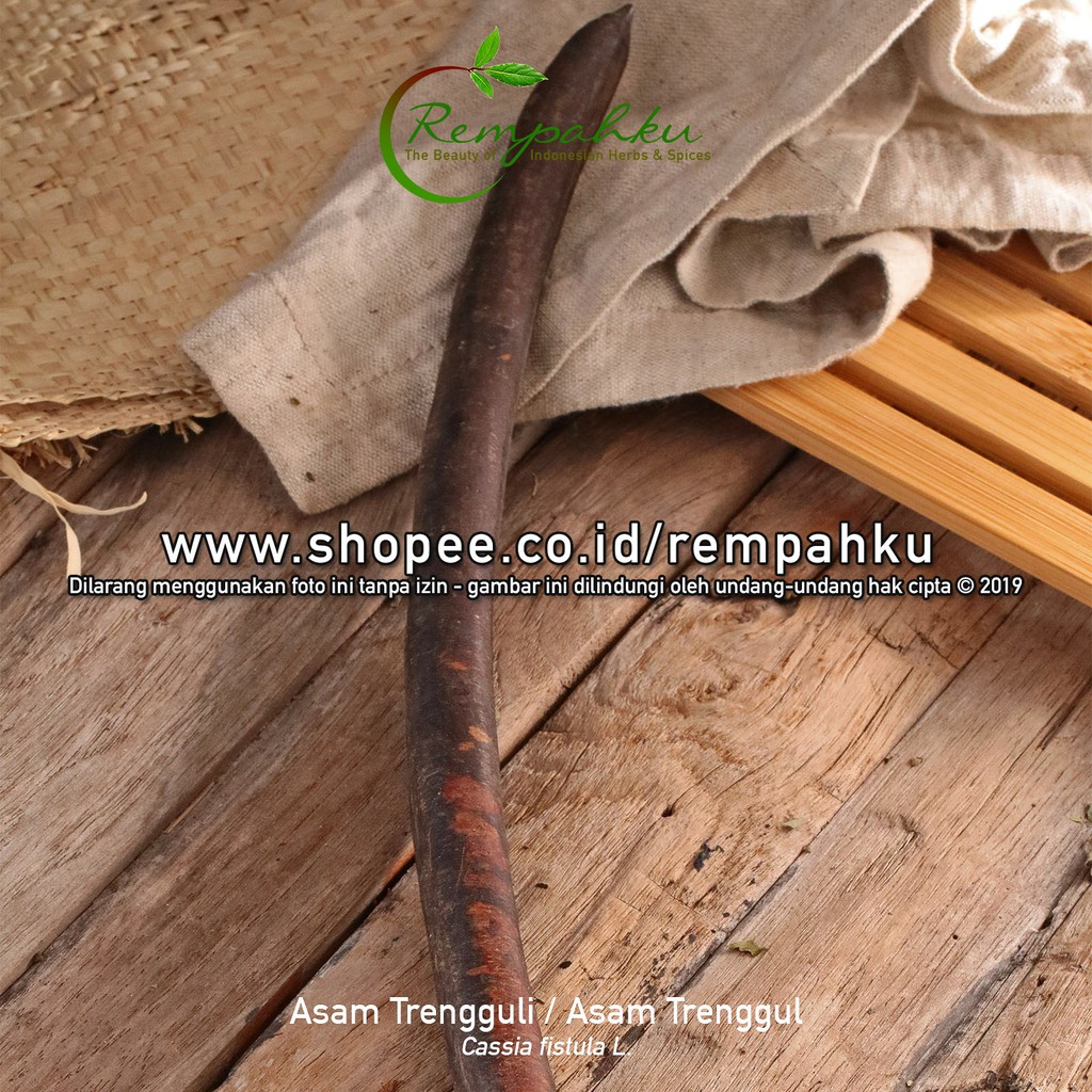 

Rempahku - Asem Trenggul Asam Trengguli 100gr Jamu Kayu Raja Tengguli