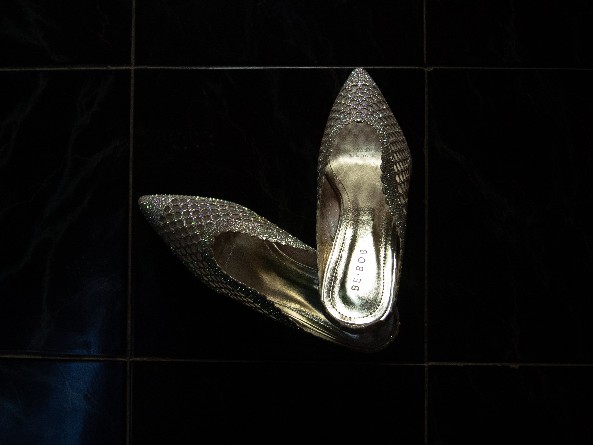 Bambu Hoki / Lucky Bamboo / Bambu Rejeki / Bambu Cina/ Bambu Mini