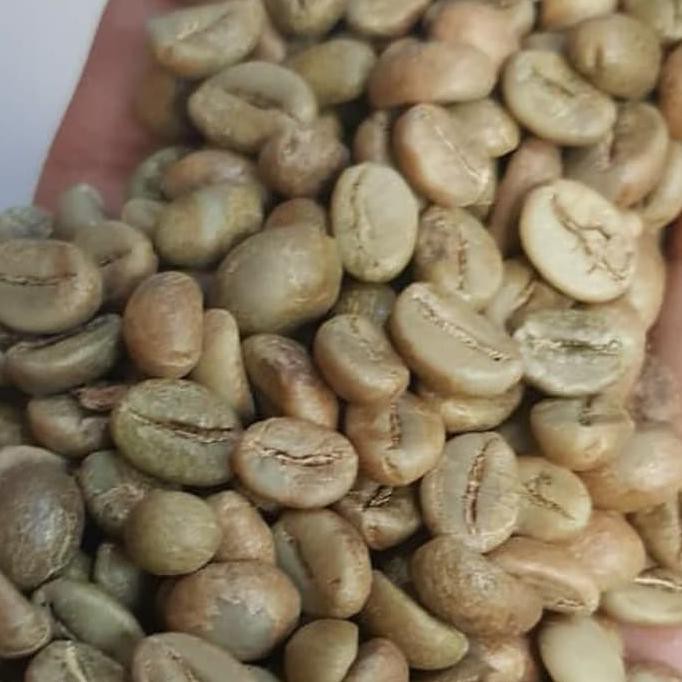 

Big Sale Green Bean Kopi Robusta Temanggung Natural Proses 1Kg Diskon