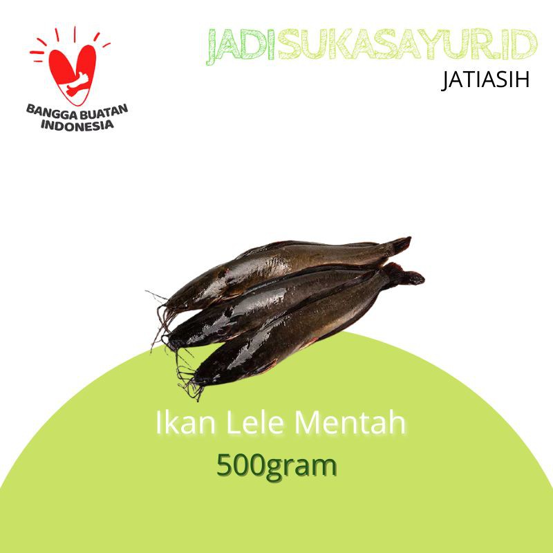 

Ikan Lele Mentah 500gram - Ikan Segar Bekasi