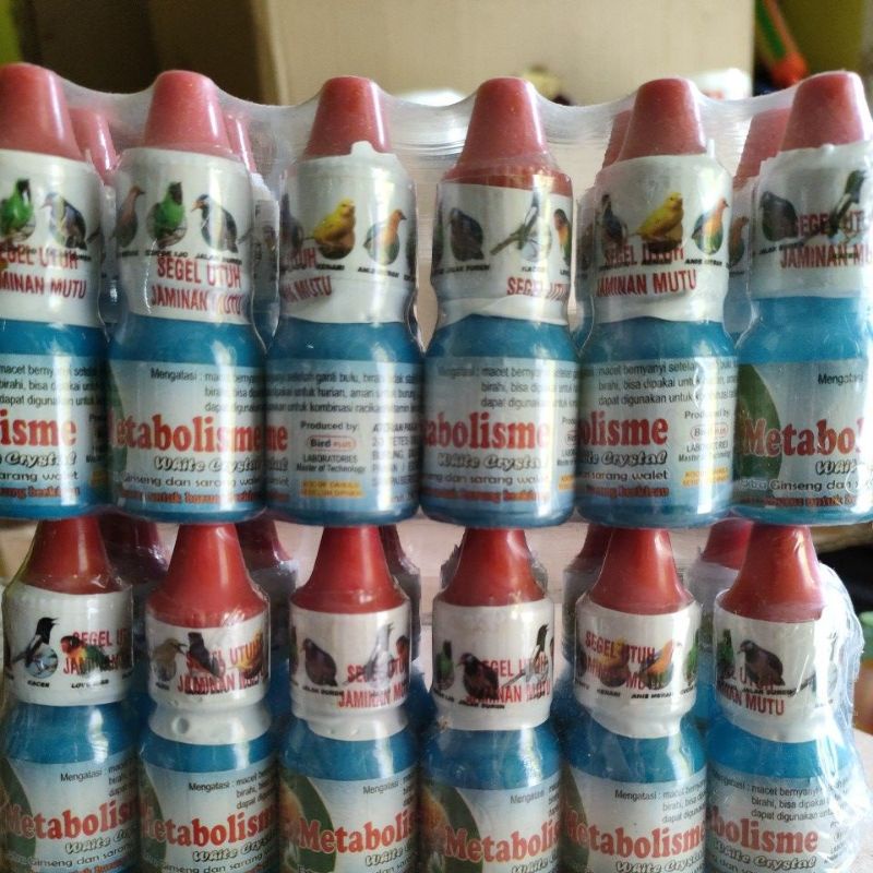 Metabolisme white crystal termurah