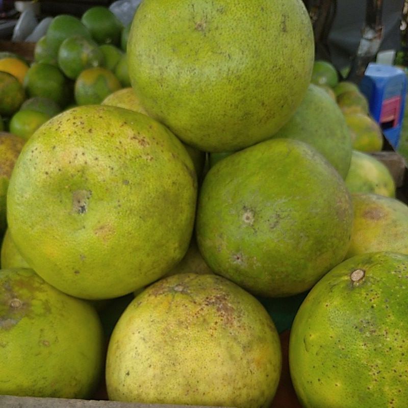 

Jeruk Bali besar segar @ satuan