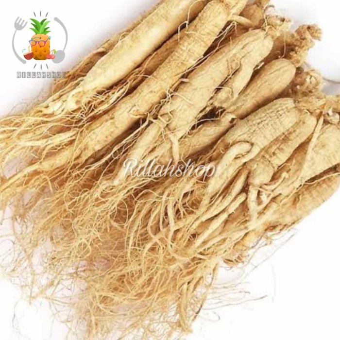 

Ginseng Fresh 100g