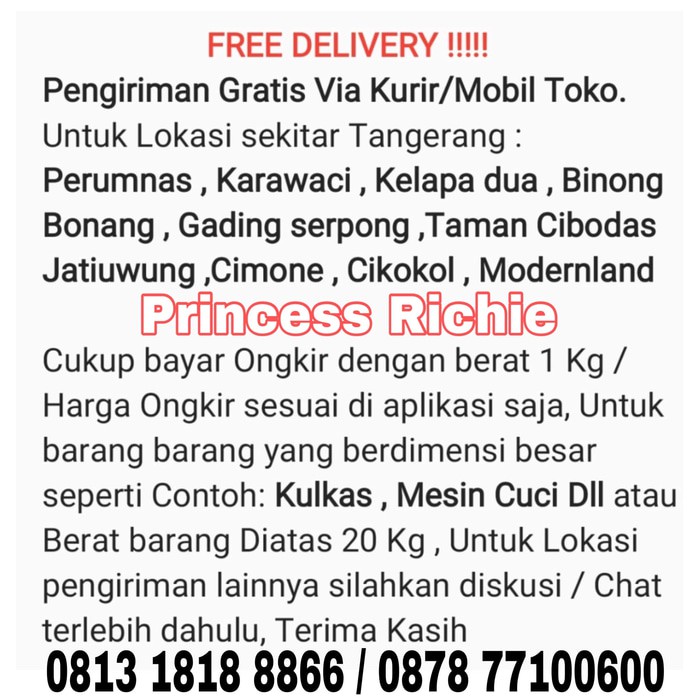 Speaker active kingmax 12 inch bluetooth subwoofer fm radio karaoke