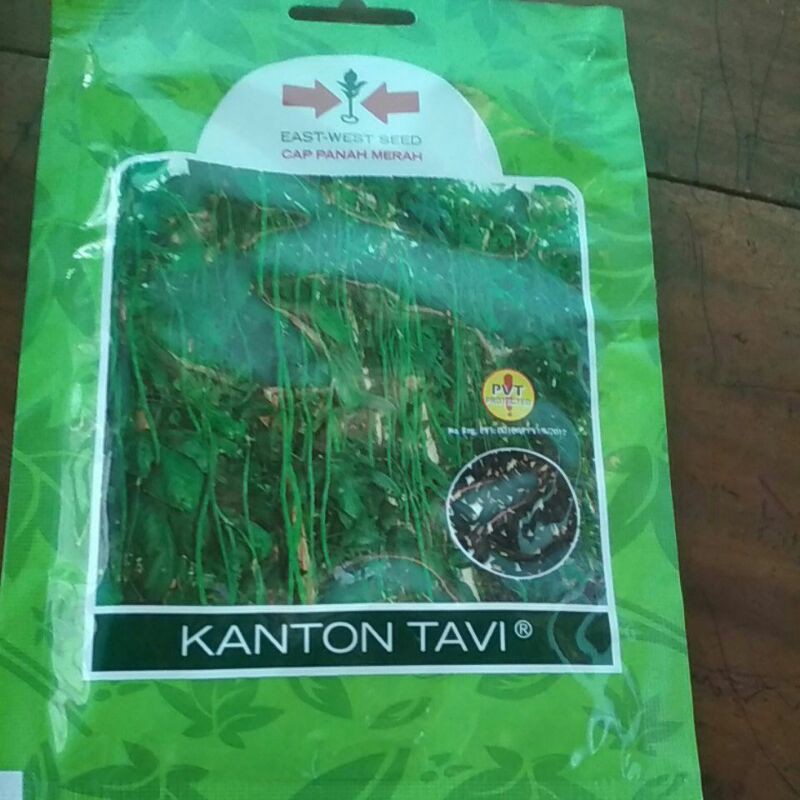 

kacang panjang Katon tavi 200 btr