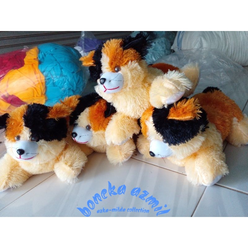 Boneka kucing lucu Persia size l