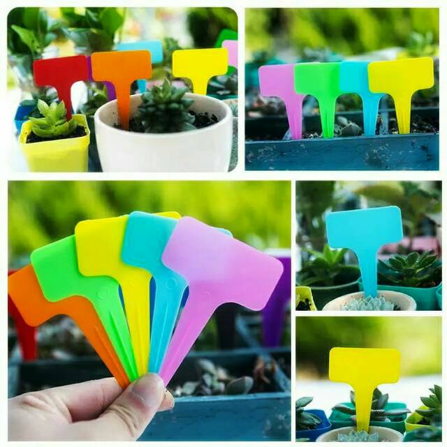 

Label Nama Tanaman Label Nama Tag Tanaman Anti Air Bentuk T Bahan PVC